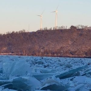 Meet your Posher, Randy